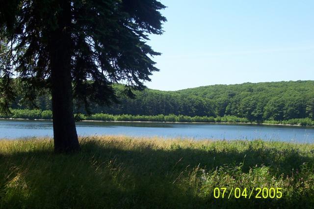 51698_pond.jpg