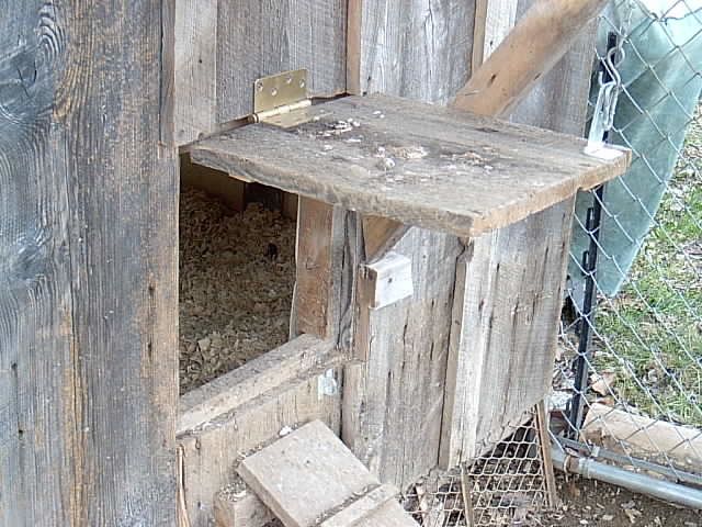 51710_im000021.jpg