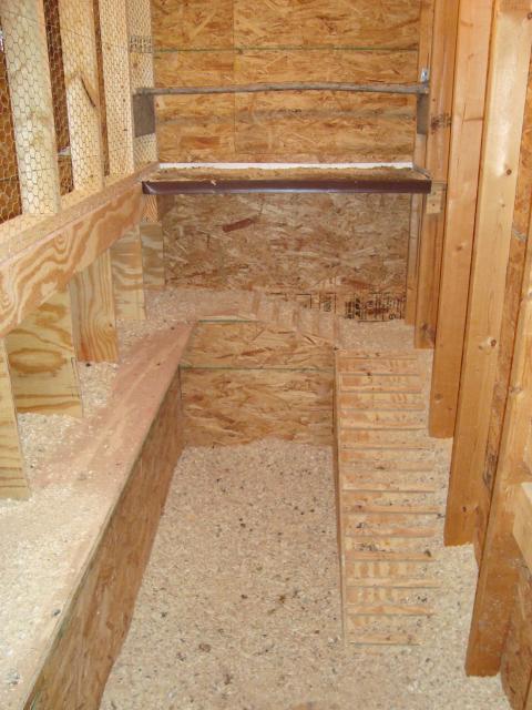51905_005.jpg