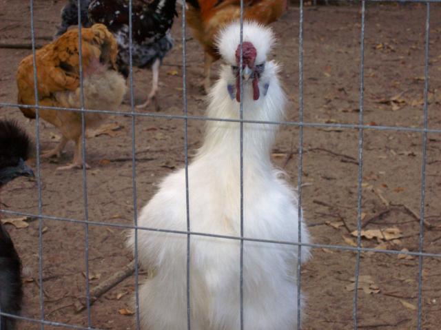 51924_010.jpg