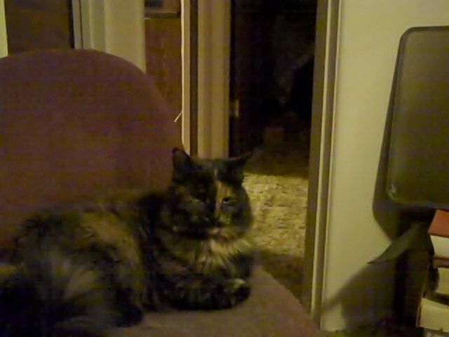52059_cheyanna.jpg