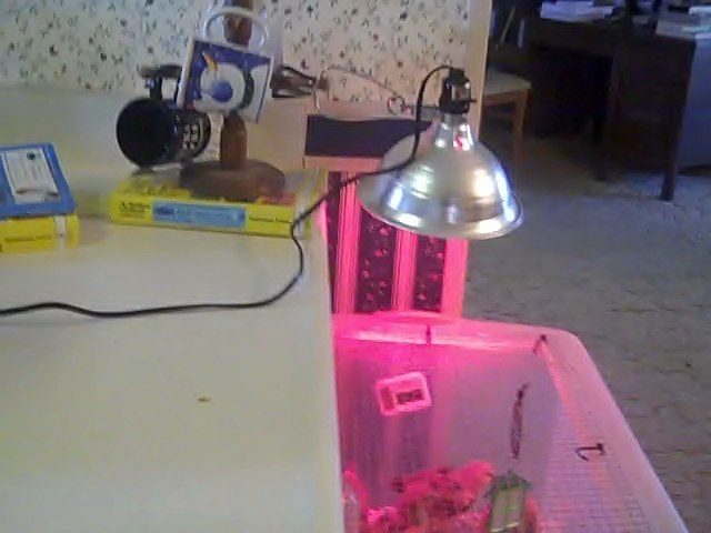 52059_video_18_0_00_00-02.jpg