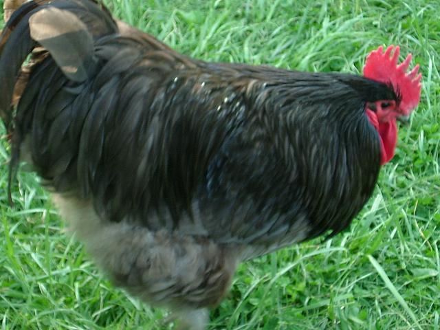 52112_dscf8846.jpg