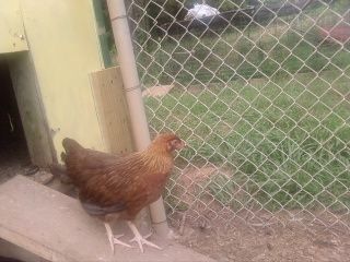 52319_photo0541.jpg