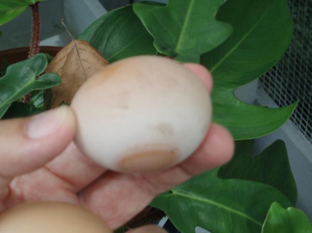52335_august_2010_207.jpg
