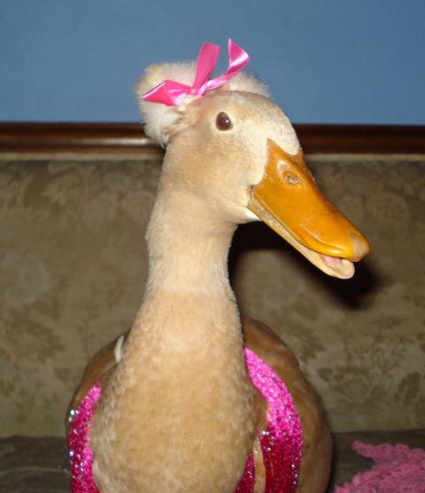 52356_leah1.jpg