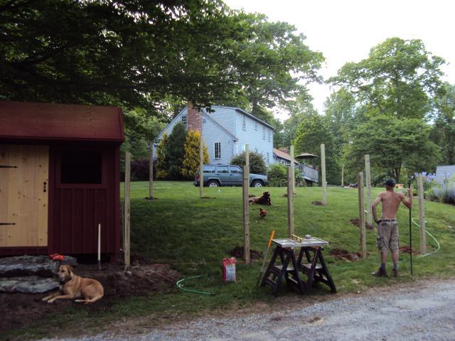 52396_dsc00715.jpg