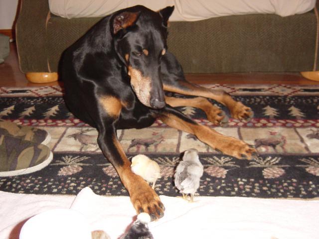 524_new_babies_2008_017.jpg