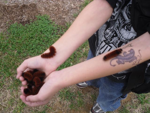 524_sdc11660.jpg