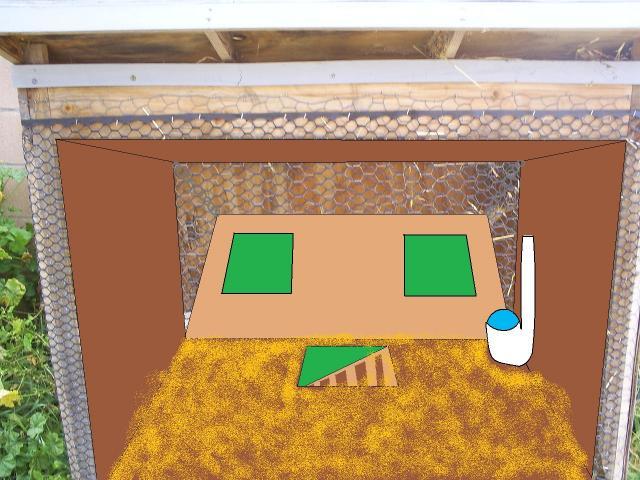 52977_inside_coop.jpg