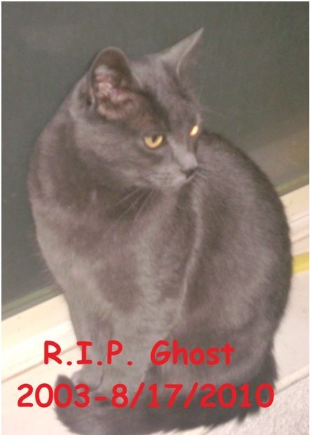 53087_rip_ghost.jpg
