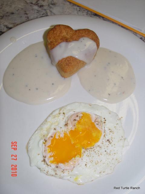 53095_fresh_eggs_with_buttermilk_biscuits_and_sausage_gravy.jpg