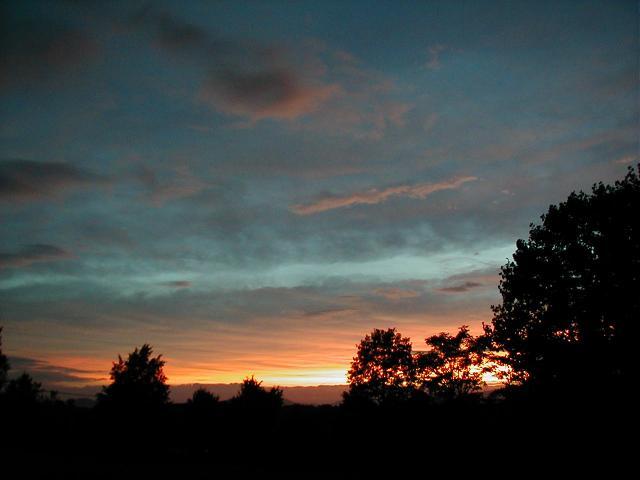 53095_picture_022.jpg