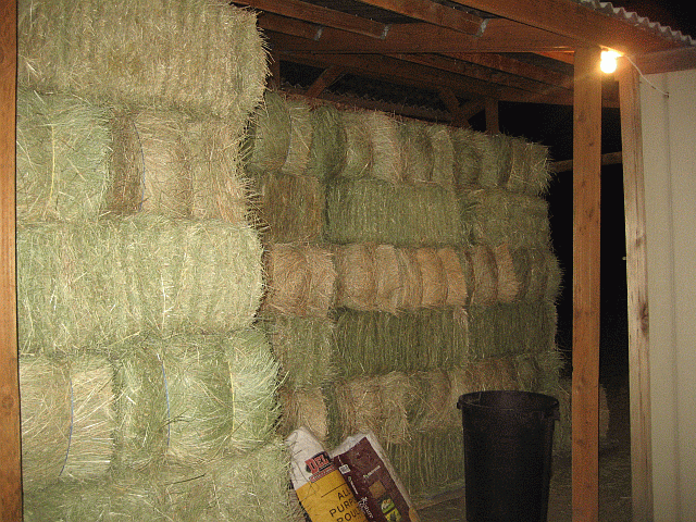 53126_hay1.gif