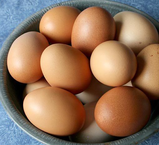 53152_bowl-of-brown-eggs.jpg