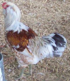 53380_066.jpg