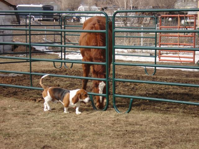 5340_4-3-2007_2-107.jpg