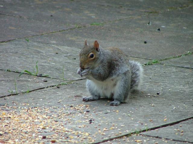 53422_dscf0325.jpg