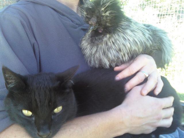 53573_lafonda_and_buzz.jpg