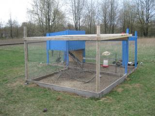 53683_chickens_007.jpg
