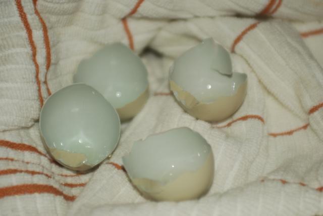 53724_greenegg-crack.jpg