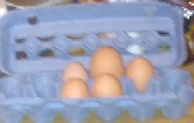 53825_big_egg.jpg