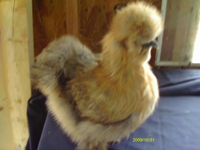 53887_imag0869.jpg