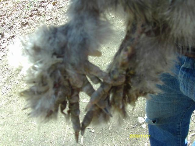 53887_imag1061.jpg