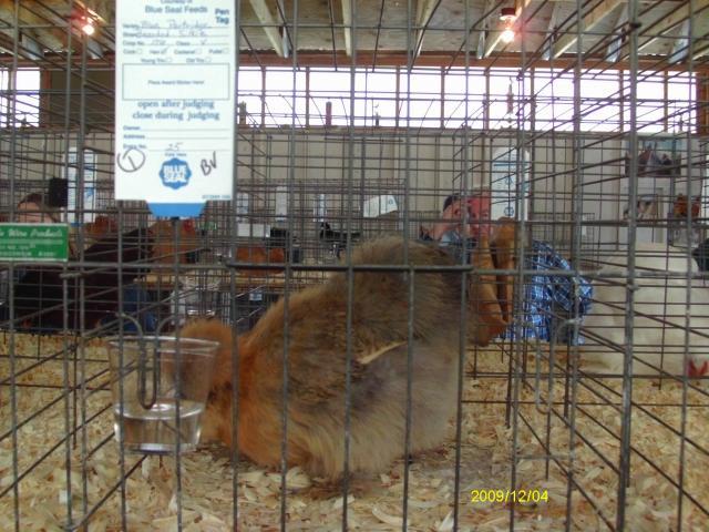 53887_imag1254.jpg