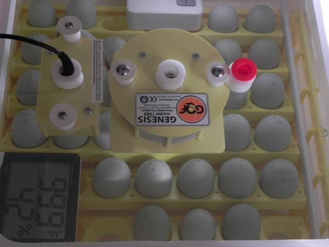 53919_dscn1865.jpg