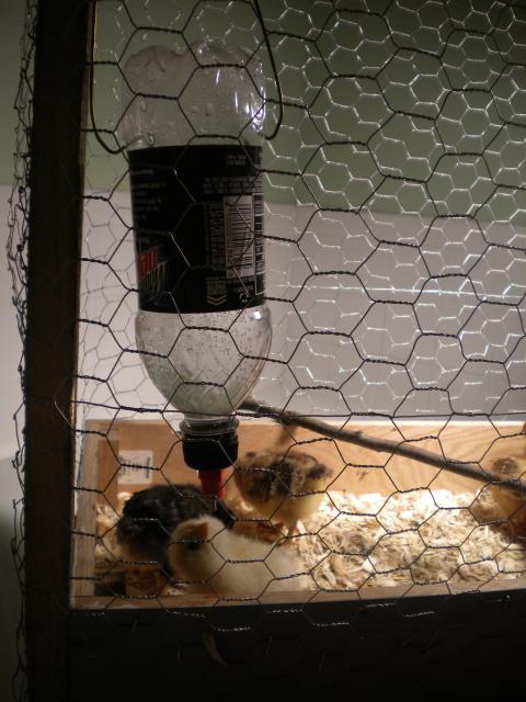 53960_dscn0223.jpg