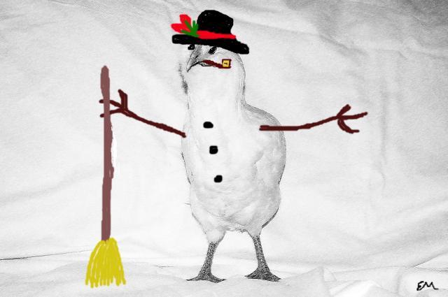53960_frosty_chicken.jpg