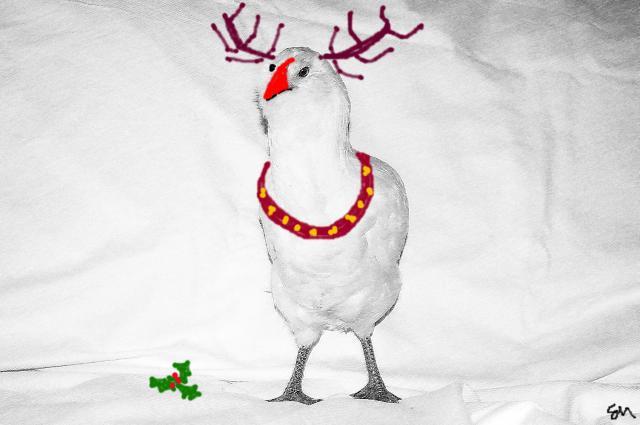 53960_rudolph_chicken.jpg