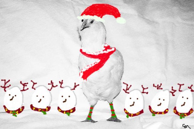 53960_santa_chicken_and_reindeer.jpg