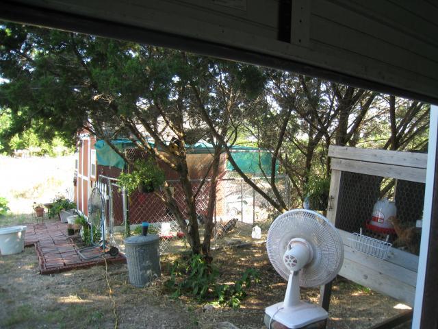 54045_chicken_house_2010_056.jpg