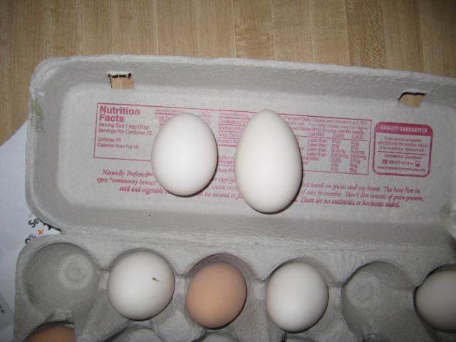 54143_008.jpg