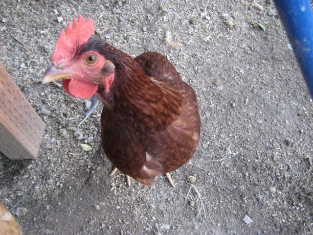 54143_021.jpg