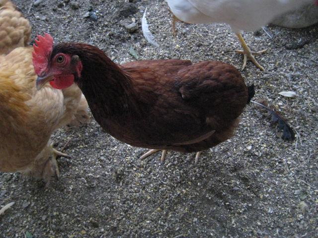 54143_023.jpg