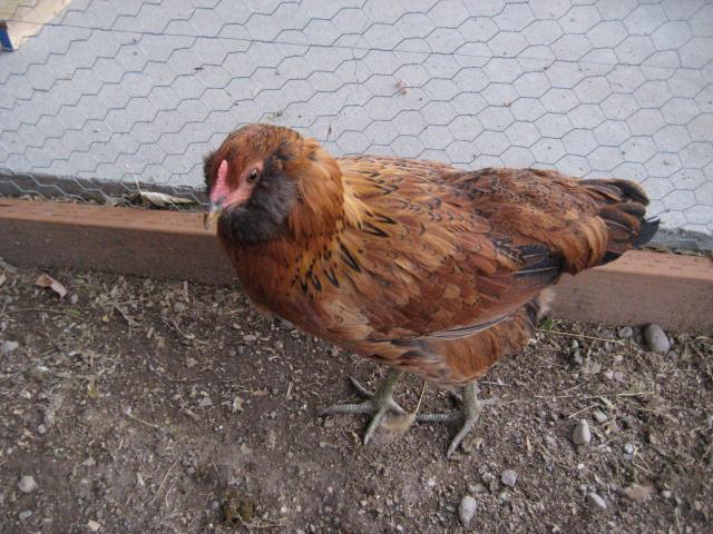 54143_029.jpg