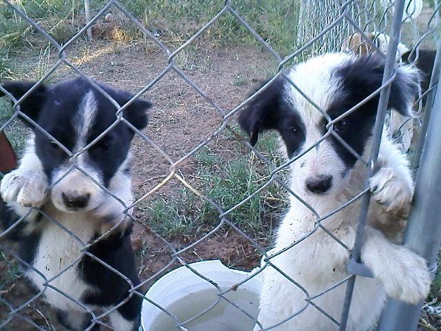 5415_0504001858.jpg