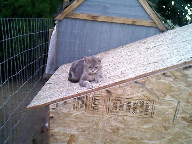 5415_0606001856.jpg