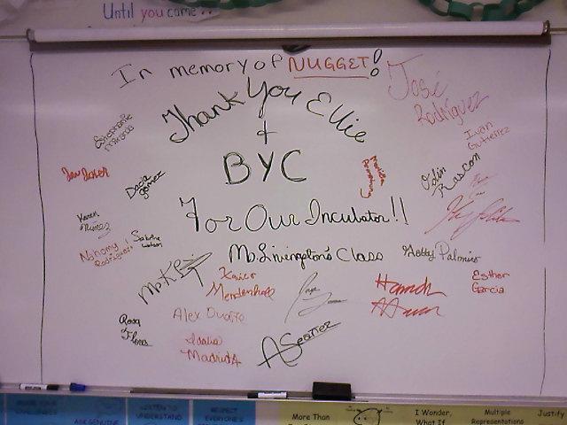 5415_thank_you_byc.jpg