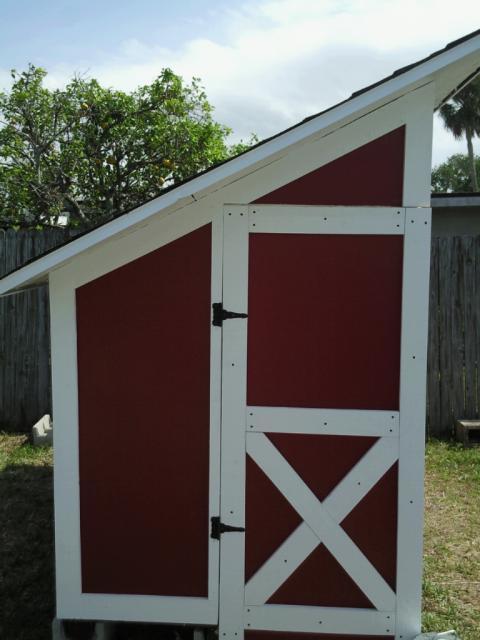 54234_coop_door_with_paint_and_trim.jpg