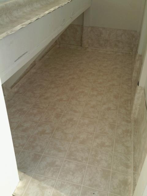 54234_linoleum_in_coop.jpg