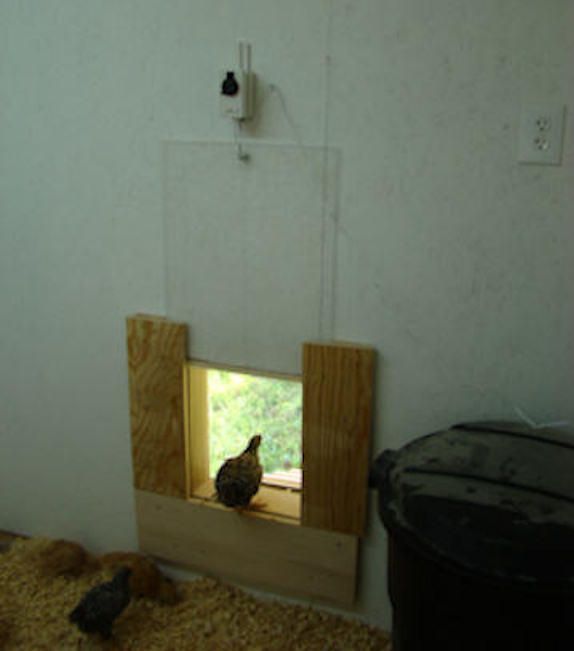 54259_inside_coop_3.jpg