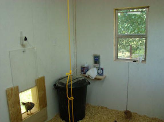 54259_inside_coop_8.jpg