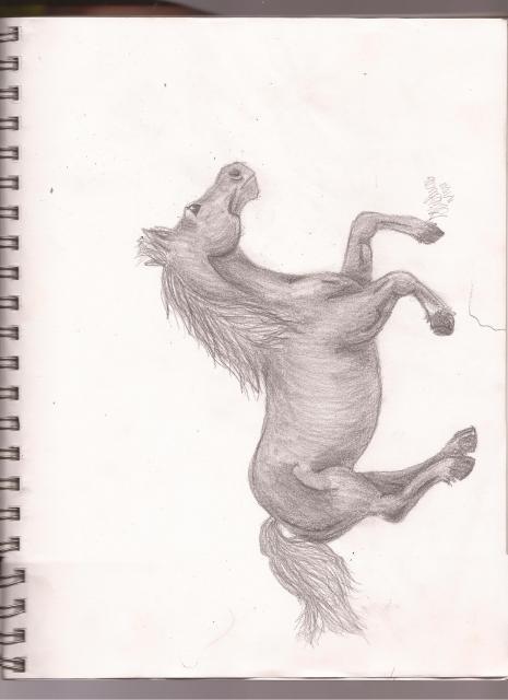 54265_000almostfinishedfuco.jpg