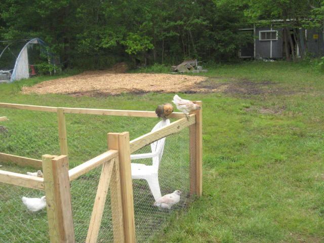 54272_img_0927.jpg