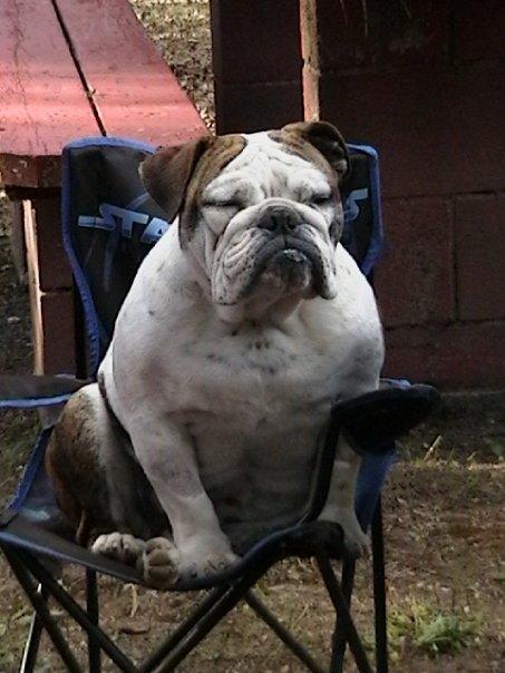 54290_looking_distinguished.jpg
