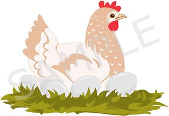 54337_ligh_hen_small.jpg